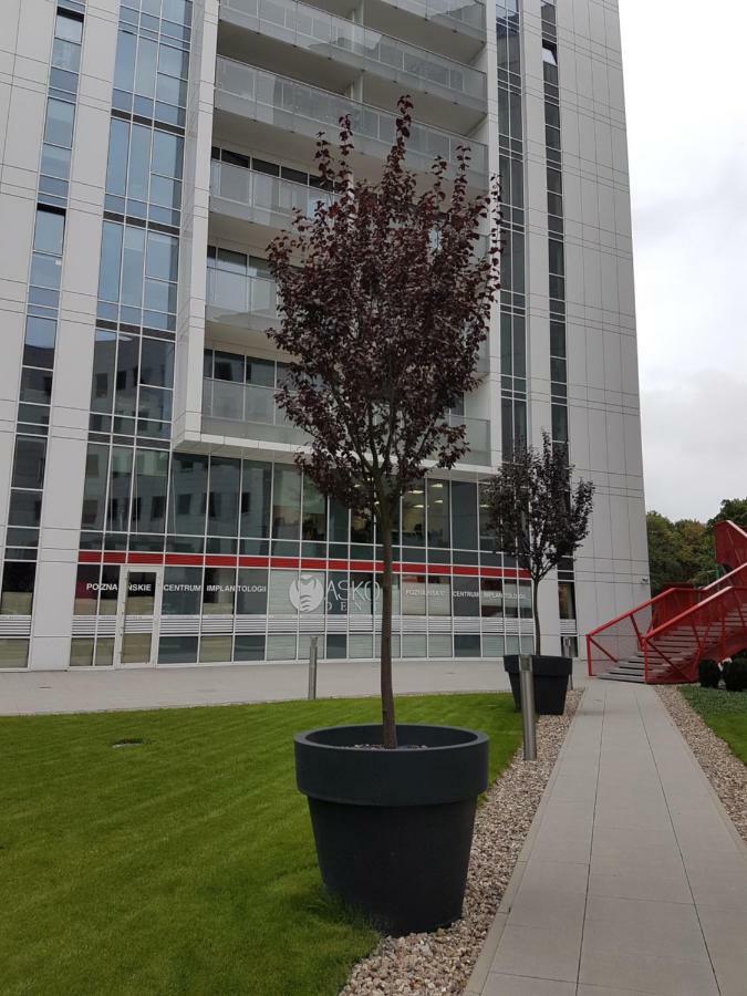 Apartament Towarowa 37 Πόζναν Εξωτερικό φωτογραφία